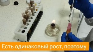Бак посев на кишечную группу инфекций. Ещё с наказом #167, который уже отменён.