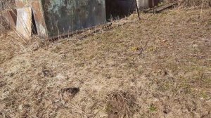 обзор дачного участка, снег растаял, начало апреля