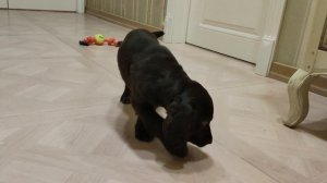 VID_20231226_173846.mp4