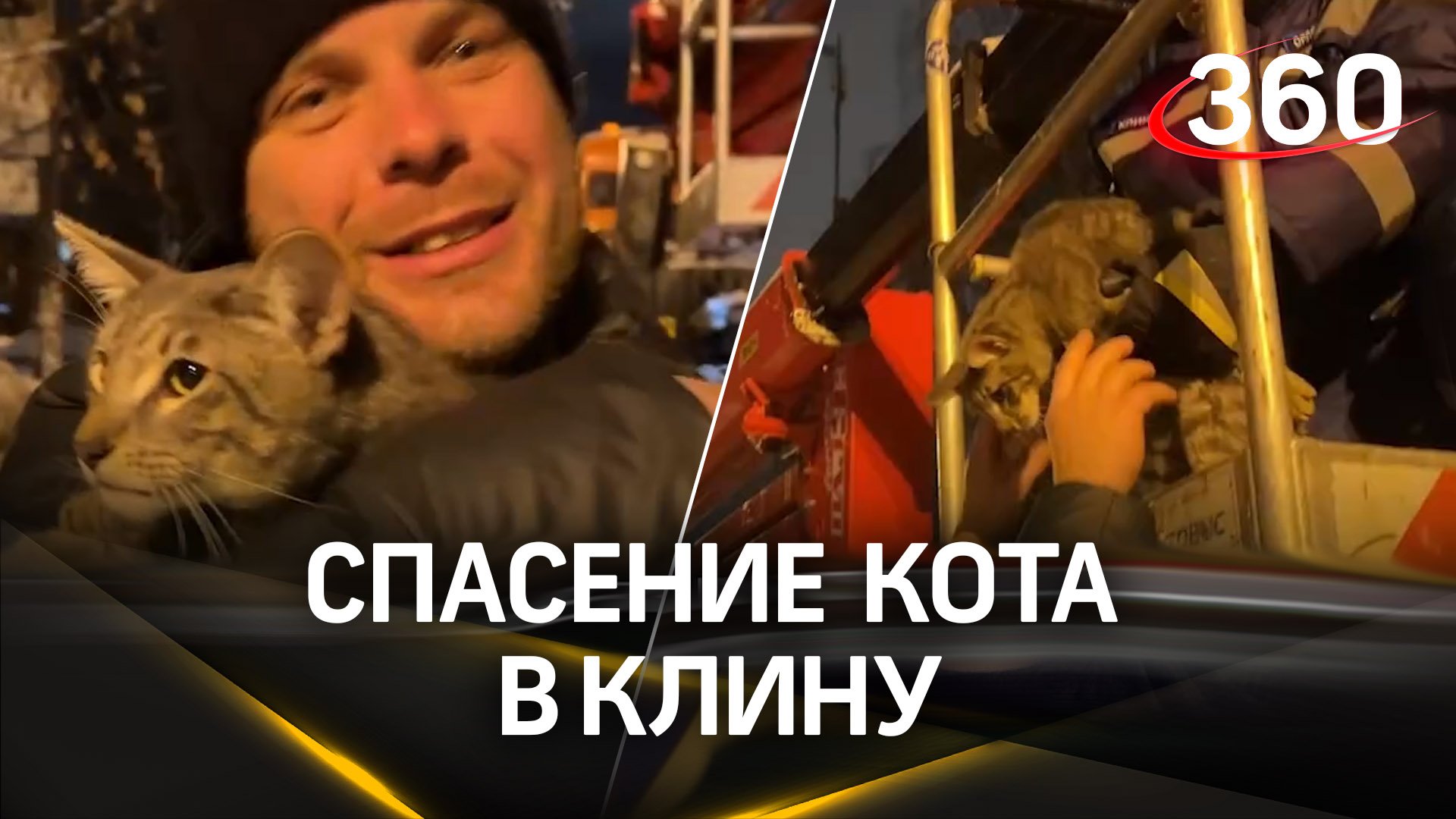 Спасатели из Клина вернули домой кота Бафика