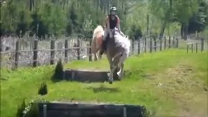 Конный спорт клип мой собственный первый