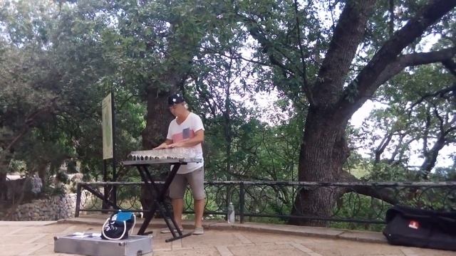 Тимофей Винковский Игра на бокалах Никитский Ботанический сад Крым