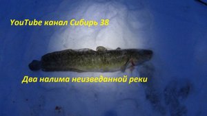 Рыбалка на налима - зимой в -30 !!!