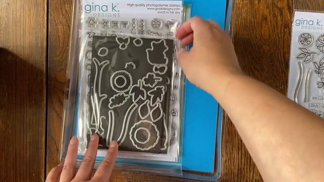 Gina K Haul смотреть онлайн