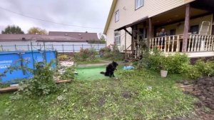 Что теперь скажите по поводу отсутствия воды в колодце