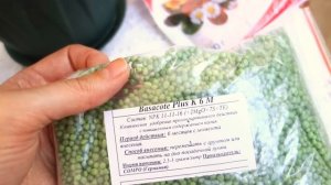 Удобрение для ахименесов: чем, когда и как.