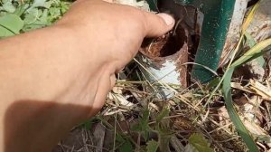 Сарай, туалет, веранда без фундамента