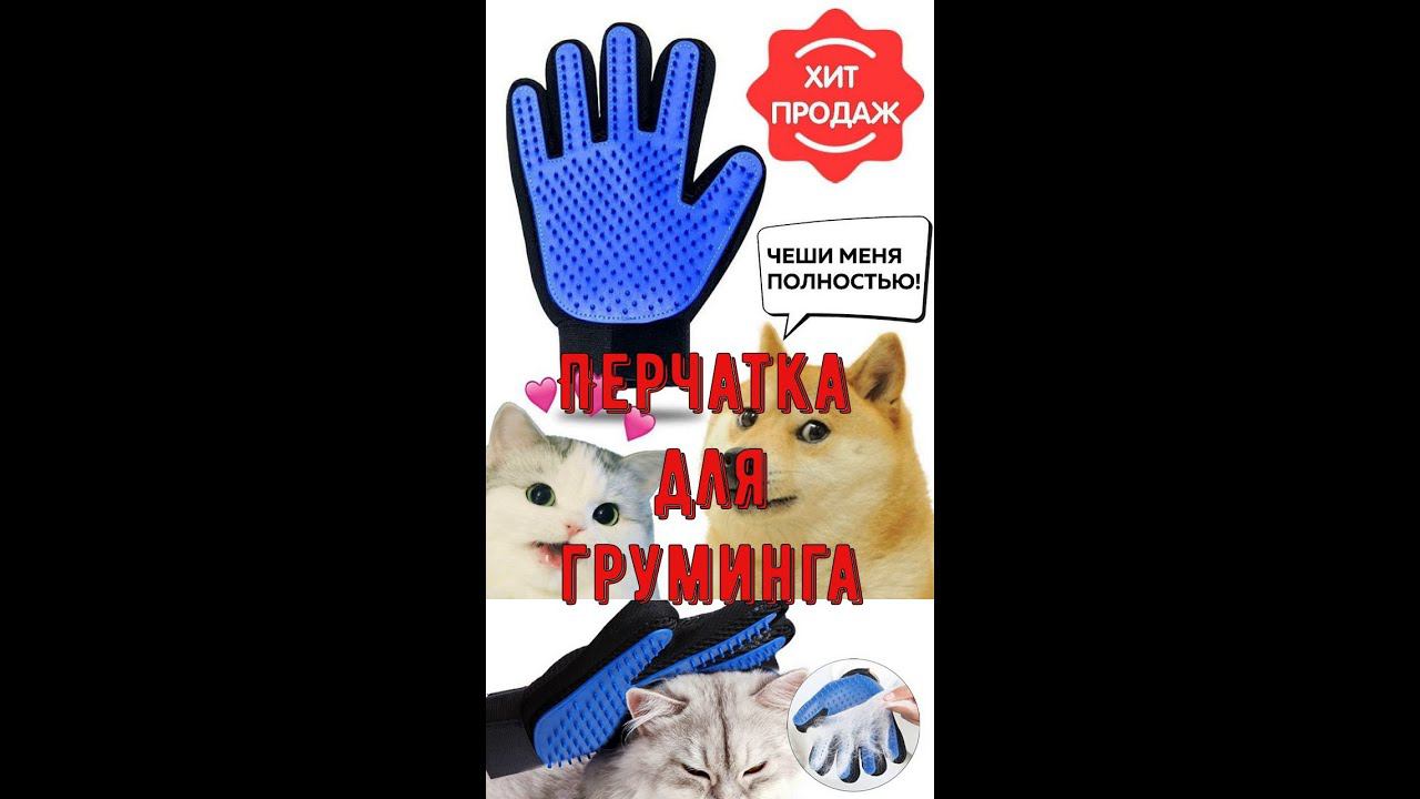 Перчатка для груминга удаления шерсти кошек,собак и других домашних питомцев! #shorts смотреть онлайн