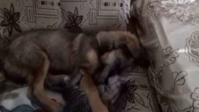 Они не могут друг без друга смотреть онлайн