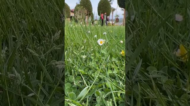 Любимая Турция. Красивая природа.