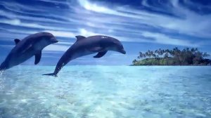 Прекрасная зеленая