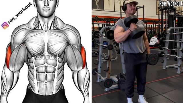 World's Bicep & Tricep Workout for Building Bigger Arms Fast - Bicep & Tricep