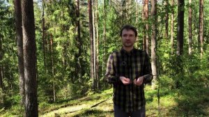 Друидический ритуал: теория и практика