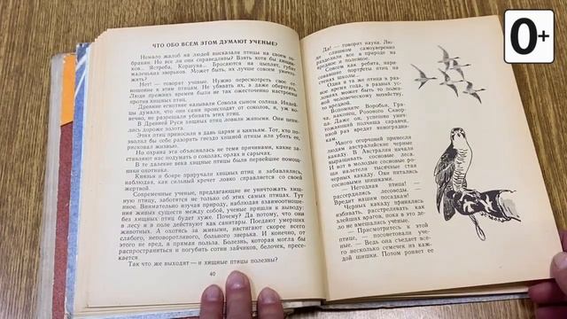 Книжки и картинки. Иллюстраторы детских книг. Андрей Келейников смотреть онлайн