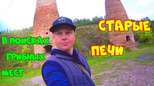 Собрал немного грибов🍄 на соленину, лесные загадки старателей.