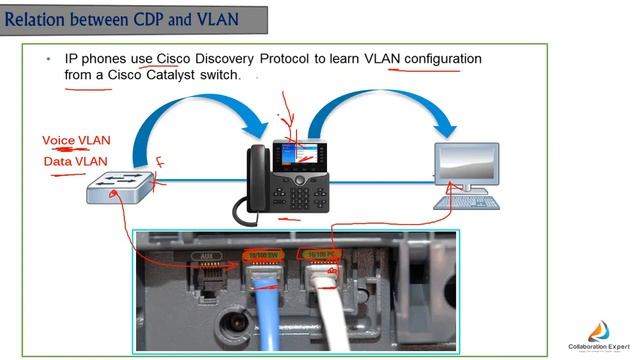 13-CCNA Collaboration | CICD (Network Concept For IP Telephony VLANS) By Hamdy Abd Elbadeea | Arabi смотреть онлайн
