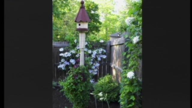 Sep 2018 - Clematis - Vine Art смотреть онлайн