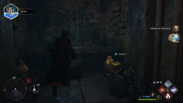 Hogwarts Legacy - First Look Livestream - #9  #HogwartsLegacy