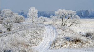 По которой. Рок острова