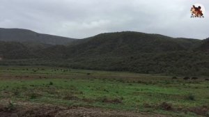 Африка: Килиманджаро и сафари. День 8-10, Кения