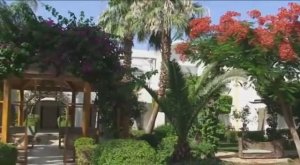 Sharm El Sheikh. Sierra. Май 2013.