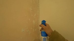Как избавиться от плесени СВОИМИ РУКАМИ