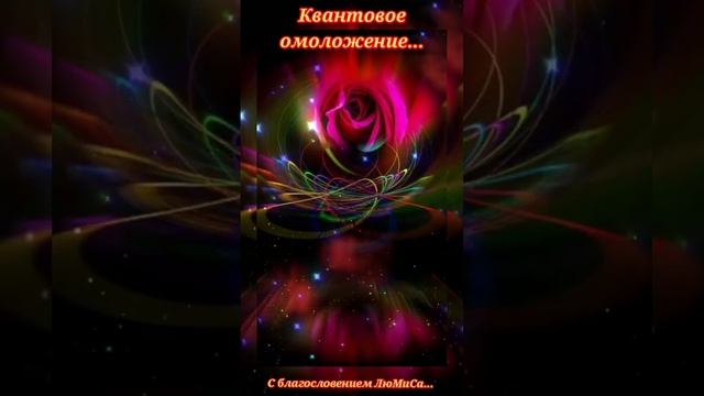 квантовое омоложение.mp4 смотреть онлайн