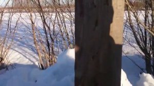 ОООП темп 1 2,5 метра и промерзшая доска 76 дж