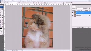 Уроки Photoshop #60. Как повысить резкость на фотографии