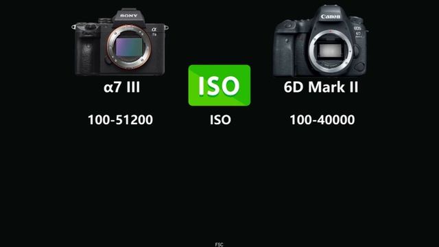 SONY Alpha a7 III vs Canon EOS 6D Mark II смотреть онлайн