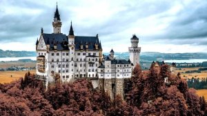 футаж ЗАМОК С ПАРКОМ