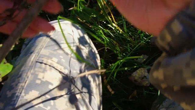 ОПЯТА 2023. И не только...В общем полный набор! Белые, Грузди, Лисички, Волнушки, Обабки, Шампиньон смотреть онлайн