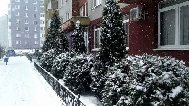 В КАЛИНИНГРАД ВЕРНУЛАСЬ ЗИМА!  СКОРО НОВЫЙ ГОД!WINTER IS BACK TO KALININGRAD! NEW YEARS IS SOON!