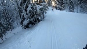 Охта Парк. Беговые лыжи