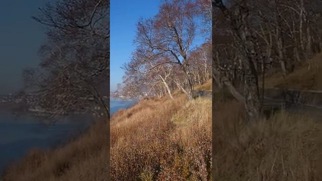 30.10.2021 г. #Камчатка,  Авачинская бухта. Вид с сопки Никольская.