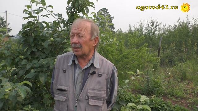 Советы начинающим садоводам о планировании участка смотреть онлайн