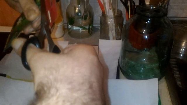 6.  Проращивание семян.  Часть 1