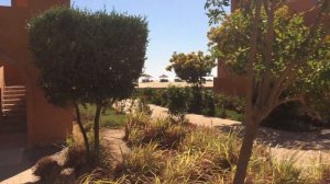 Египет отель NOVOTEL Marsa Alam. Про отель Marsa Alam. Отель Египта без Русских туристов.