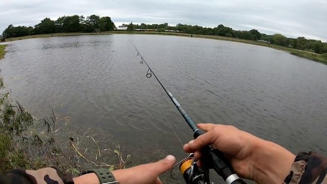 Ловля форели на платнике. Рыбалка на новом платнике Fiskegaarden Put & Take.