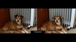 Comparison Canon EF 50mm f/1.2L USM & CANON EF 50 mm f/1.4 USM