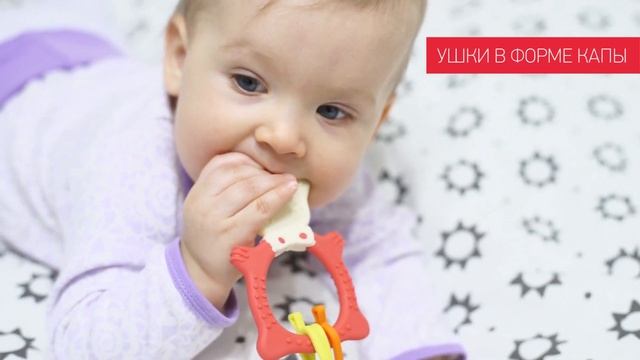 Универсальный прорезыватель BUNNY TEETHER