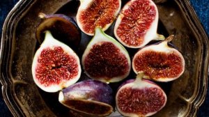 Выращивание инжира дома