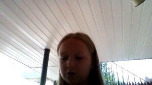 Мои вещи связанные с котами воителями