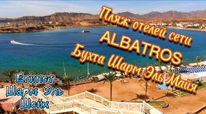 ПЛЯЖ отеля Albatros Sharm 4*/ Beach Albatros Resort, бухта Шарм Эль Майя