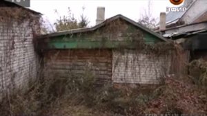 Натянутые отношения между тещей и зятем довели последнего до потери почки и жилья