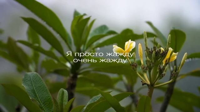 Вихрова Эвелина смотреть онлайн