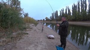 Рыбалка на Цимле \Тестируем новые удочки.
