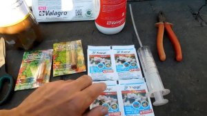 Виноград Вторая Обработка по 3 - 5 листу