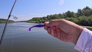 ОНА ЛОВИТ В БЕЗКЛЕВЬЕ Рыбалка на Оке Ловля судака на спиннинг
