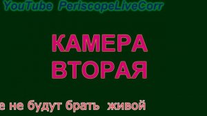 Не подчинилась требованиям полиции США, задавили.